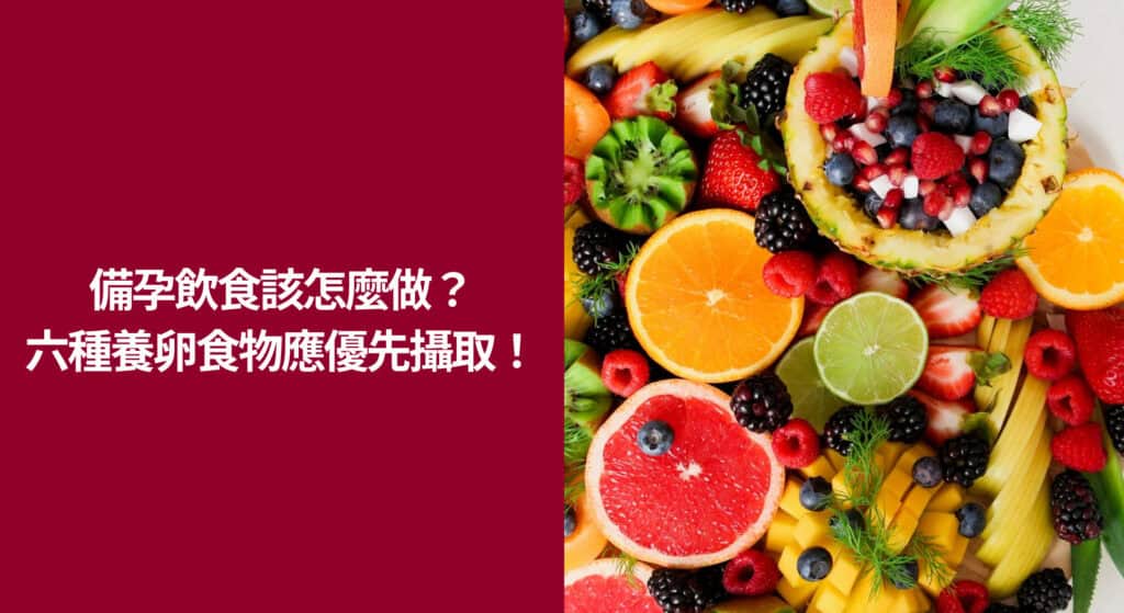 備孕飲食該怎麼做？這六種養卵食物推薦優先攝取！